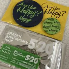 嵐★ツアーグッズ★緑★2点セット★缶バッジ★アクリルプレート