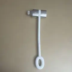 タイプc ライトニング 変換アダプタ lightning usb-c