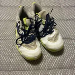 WAVE MOMENTUM ELTE MIZUNOシューズ ホワイト×イエロ