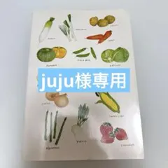 juju様専用：おいしくて体にいい北海道生まれの野菜たち非売品北海道産青果物拡販