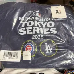 2026 WBC 侍ジャパン トートバッグ 20 周東佑京選手 - メルカリ