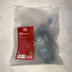 BOYNEXTDOOR ボネクド プネクド キーリング テサン ハンテップン