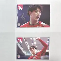 Item thumbnail for item b1f3bf0b-f4ac-44cd-bf56-c8e87452542d