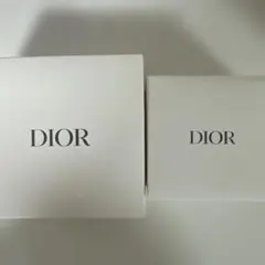 DIOR ノベルティ 星型ポーチ アクセサリーケース セット