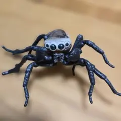 Item thumbnail for item fad3cc44-013c-4ae0-98b9-a73bcb97f597