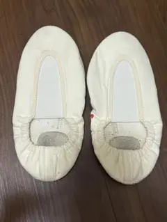 日体大 器械体操用シューズ 23.5cm