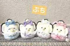 つぶらな瞳のなまがき おめかし ぱんつ むぎゅぬい ぷちマスコットBC 全4種