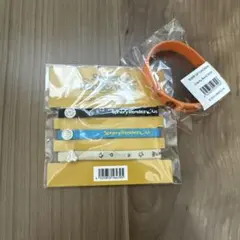 BUMP OF CHICKEN ヘアタイブレスレットセット＋チャリティーバンド