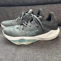 2026年最新】nova surge low 25.5の人気アイテム - メルカリ