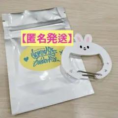 Stray kids スキズ KARMA