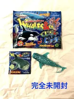 くじら＆Co. まとめ売り 売り切れ店続出の人気シリーズから くじらと仲間たちを集める