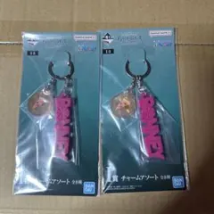 一番くじ　ワンピース　メモリーオブヒロインズ