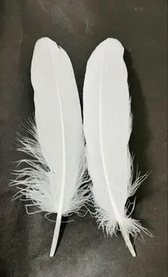 Item thumbnail for item dd57d658-dd77-4d2f-a623-f6406f9cc8f1