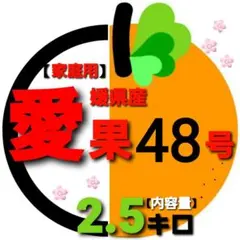 愛媛県産【家庭用】愛果48号　小玉~中玉　内容量 2.5キロ。