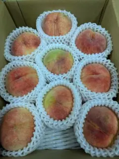 注文順収穫！自然肥料のみ！こだわりの清水白桃 - メルカリ