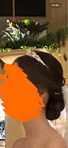 ティアラ ドレス