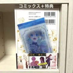 ある日、お姫様になってしまった件について　12巻　特典