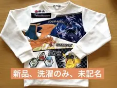 Item thumbnail for item 7d4ed35b-3d15-42c6-a8e3-416217b6d86e