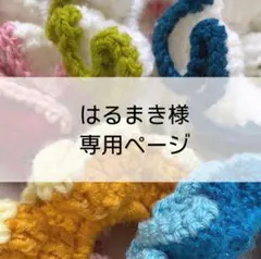 はるまき様　専用ページ　☺︎