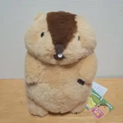 マーモットのもっとっと コンパクトジャンボ ぬいぐるみ