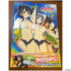 閃乱カグラ PEACH BEACH SPLASH 公式イラスト集