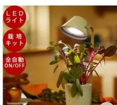 ブルーノBRUNO 水耕栽培キット STAND BY GREENのサムネイル