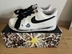 Nike Air Force 1 Para-Noise 27.5cm