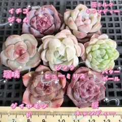 ヒロコ様 リクエスト 2点 まとめ商品