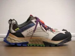 Timberland × Bee Line Solar Ridge GTX