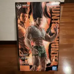 ハンターハンター　一番クジ　ゴン　ラストワン　 　成長ver.