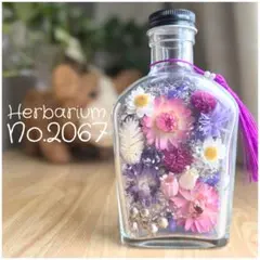 ハーバリウムNo.2067❁仏花