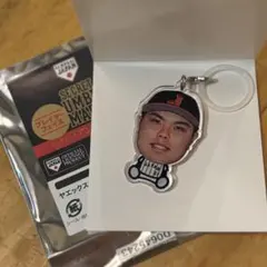 侍ジャパン　平良海馬　アンブレラマーカー　シークレット