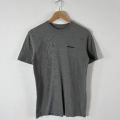 Tシャツ　patagonia