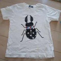 LITTLE BEAR CLUB 虫イラスト Tシャツ 120