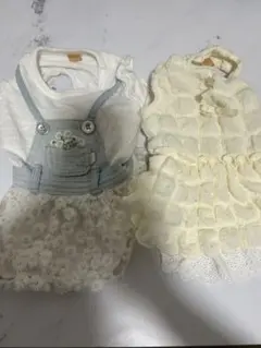 犬服 2点セット DSS PET PARADISEのサムネイル