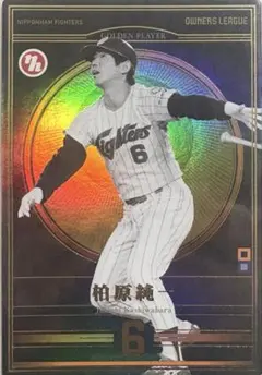 長嶋茂雄 カード オーナーズリーグ - メルカリ