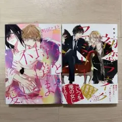 BLコミック 4冊セット 500円 BL漫画 4冊まとめセット - メルカリ