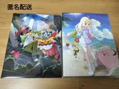 【ポケカ】『リーリエ』『Ｎ』ファイル2点セット(他付属なし)