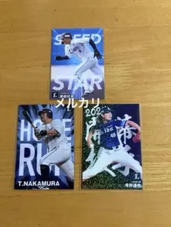 カルビー　プロ野球チップス　通販限定　西武　2023年　2024年