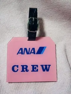 完売品⭐︎ ANA Luggage Tag 飛行機型 青組 パスケース - メルカリ