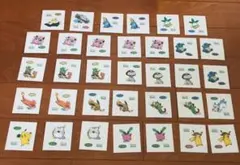 ポケットモンスター　ポケモンシール　ブルーミングポケモンシリーズセット