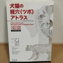 Item thumbnail for item c7a5101a-db0f-4383-98a2-8f9d96727707