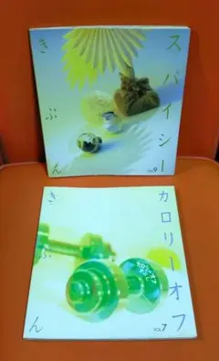 2冊セット☆『カロリーオフきぶん』『スパイシーきぶん』レシピ