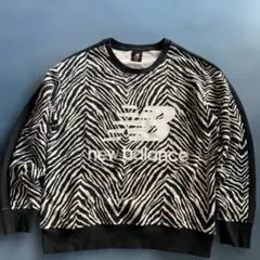 Item thumbnail for item e5cf30ee-2482-4f57-bbd9-075b8dd3ec5e