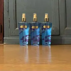 ヴィクトリアシークレット エンドレスラブ 新品未使用 2本セット 2026年最新】エンドレスラブ ヴィクトリアシークレットの人気アイテム