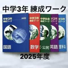 練成会　中学2 年 練成ワーク Amazon | 中2 練成会 テキスト ワーク 問題集 国語 高校入試 錬成会 道