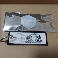 ディズニー 100周年 フライトタグ