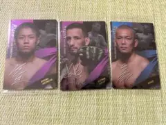 Item thumbnail for item 3dc598c2-3874-4c9c-ab38-6429378f69a9