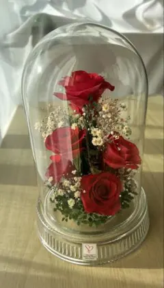 2025年最新】レンデフロールの人気アイテム - メルカリ