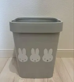 Item thumbnail for item f003b85e-d930-482a-b0d1-686bda2c3c7c